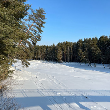 16.jpg